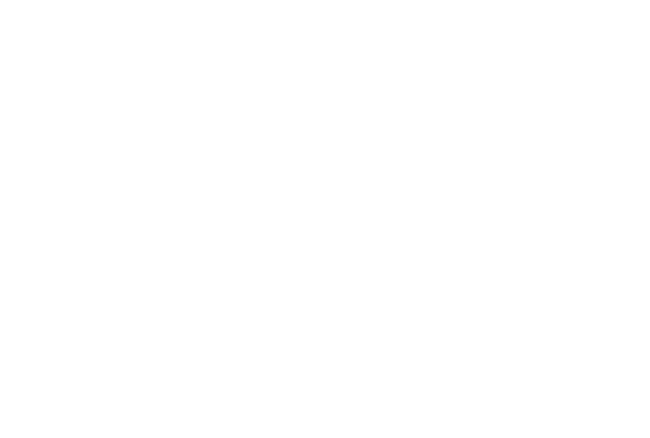 
                dia bed and breakfast logo